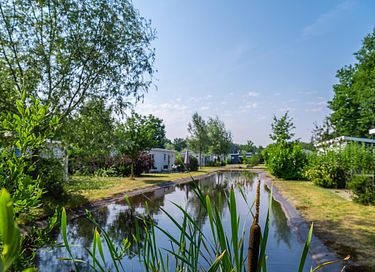 Knus huisje voor 4 personen op groen park - 11