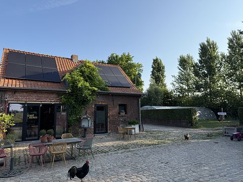 Overnachten met hottub tussen de alpaca's - 2