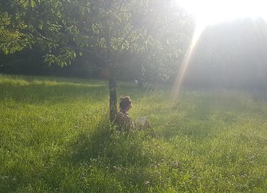 Roulotte dans un camping français boisé - 6