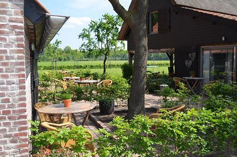 Bijzondere B&B in Brabant - 2