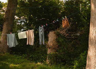 Logement de vacances en bois (4p) à Overijssel - 23