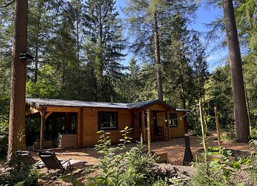 Tough luxury Scandinavian forest lodge on Veluwe