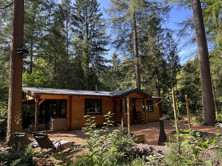 Tough luxury Scandinavian forest lodge on Veluwe - 1