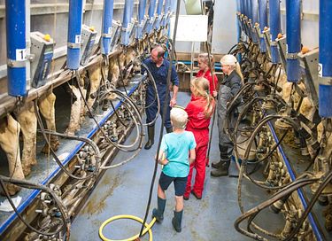 Glamping auf der Dairy & Calf Farm - 12