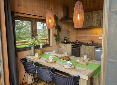 Unieke boomhut in Drenthe voor 6 personen - 5