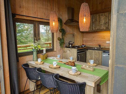 Unieke boomhut in Drenthe voor 6 personen - 5