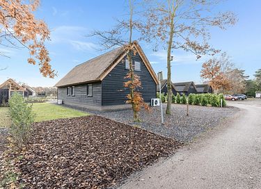 Luxury holiday home in Brabant (6p) - 21