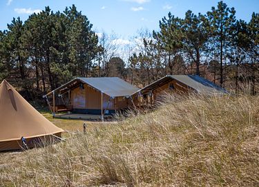 Tente de luxe (5p) sur Ameland - 6