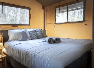 Ruime lodge op mooi domein met paarden - 12