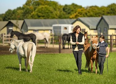  Glamping à la ferme à cheval et à poney - 5