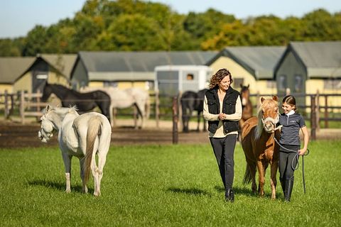  Glamping à la ferme à cheval et à poney - 5
