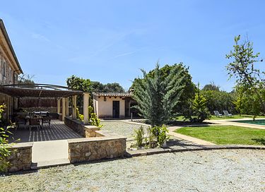 Groen vakantiehuis met veel privacy  - 6