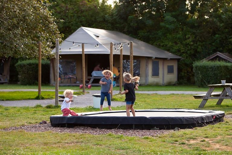 Glamping auf einem Schafbauernhof in Zeeland - 1