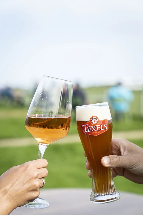 Overnachten op een unieke locatie op Texel - 5