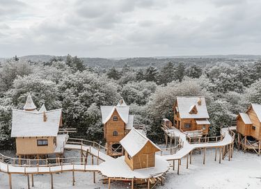 Treelodge avec sauna dans les Ardennes - 32