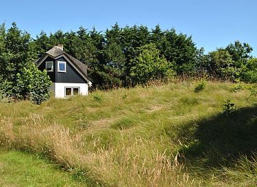 Forest cabin on Texel (8p) - 2