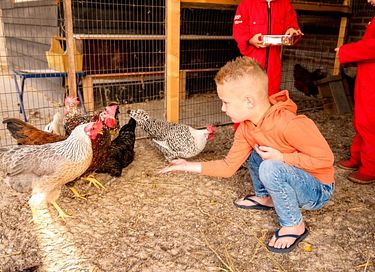 Duurzame boerderijvakantie in Brabant - 13