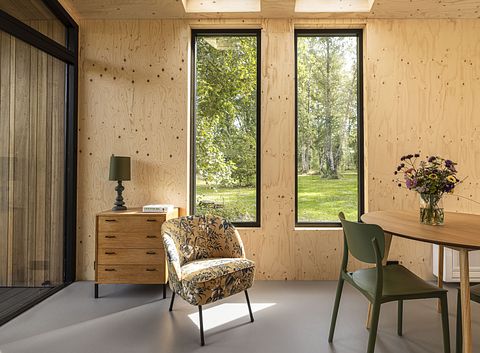 Tiny house in Overijssel (hond toegestaan) - 4