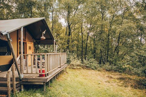 Tente safari de luxe en camping polyvalent - 5