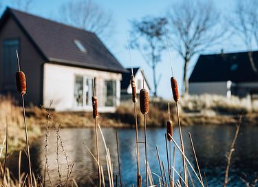 Luxe vakantiewoning omringd door de duinen - 5