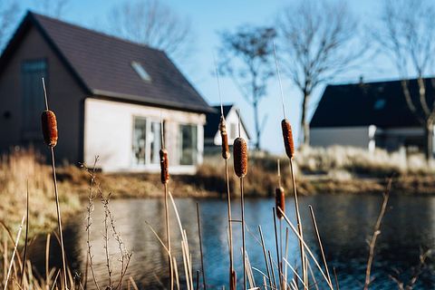 Luxe vakantiewoning omringd door de duinen - 5
