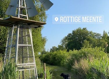 Tente safari (4 pers) avec vue en Frise - 9