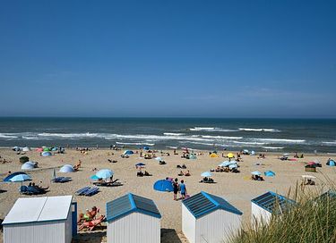 Ferienwohnung inmitten von Wäldern auf Texel - 26