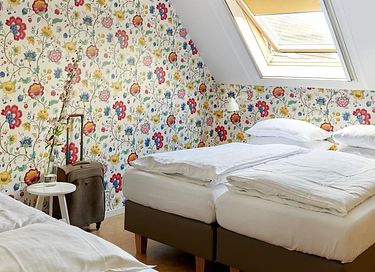 Beautifully located group lodging in Limburg - 30