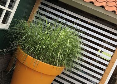 Vakantiewoning met luxe wellnesservaring - 24