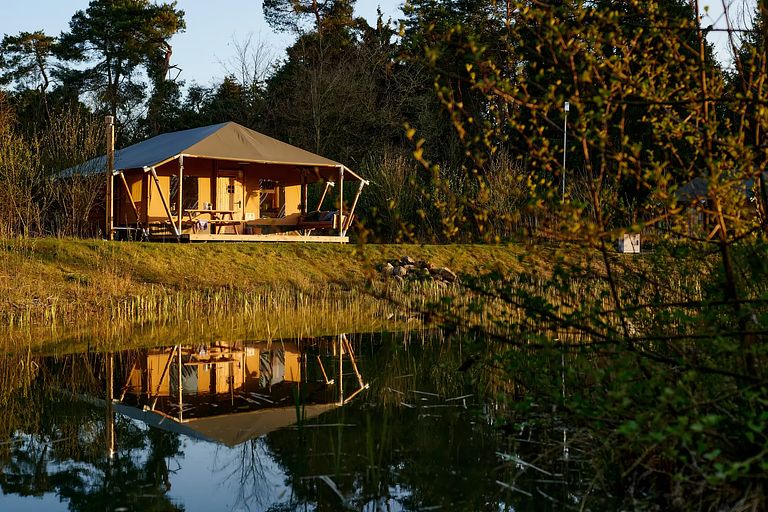 Safari tent (6 persons) in Drenthe - 1