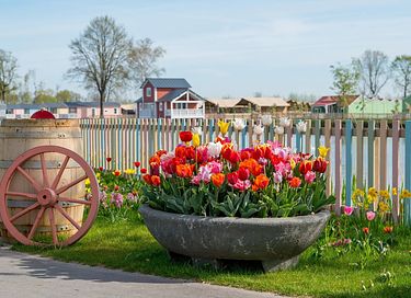 Familiewoning met uitzicht op natuurplas - 19