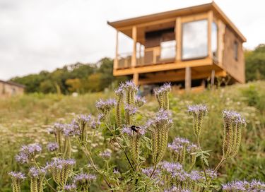 Nature Cabin for Those Seeking Peace and Quiet - 2