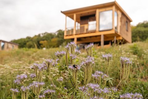 Nature Cabin for Those Seeking Peace and Quiet - 2