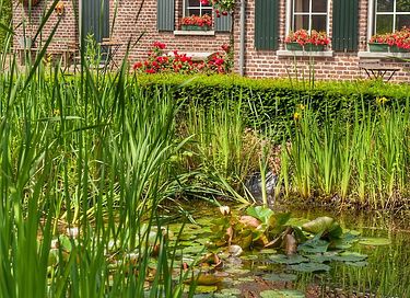 Cottage nel Limburgo in una splendida posizione - 39