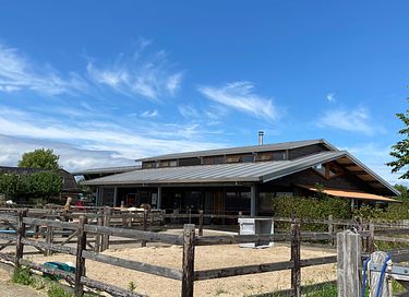 Luxe vakantiehuis tussen de IJslandse paarden - 21