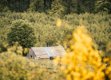 Luxe natuurhuisje in de Ardennen - 21