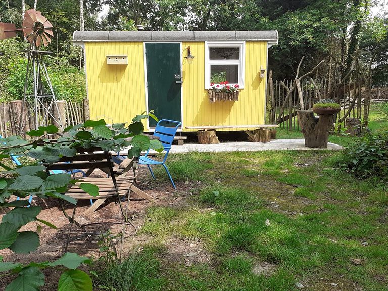 Passez la nuit dans un joli wagon tzigane. - 1