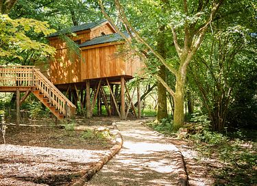 Boomhut (4p) met hottub in de Ardennen - 26
