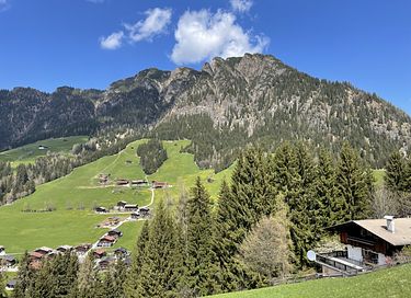 Bosrijk chalet in Oostenrijk (6p) - 28