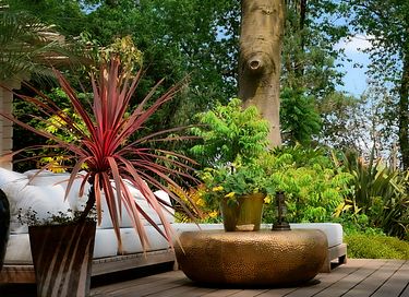 Einzigartige private Wellness-Oase - 6