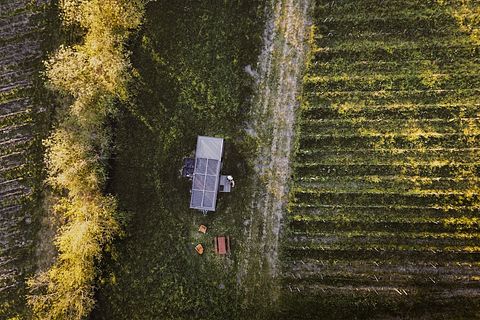 Tiny house au milieu des vignes près de Bordeaux - 2