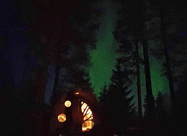Unique forest cabin in Sweden - 6