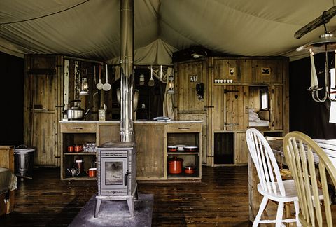 A small cabin among the animals near Appelscha - 4