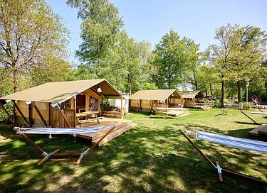 Glamping op familiecamping in Utrecht  - 2