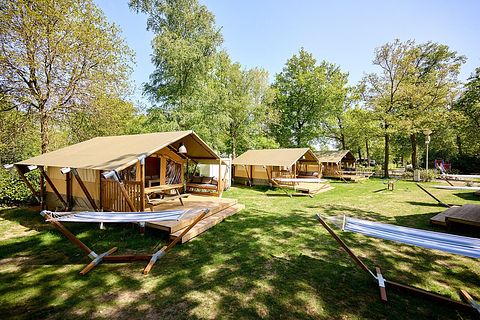 Glamping op familiecamping in Utrecht  - 2