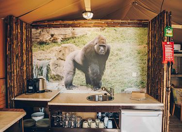 Tente safari de luxe en camping polyvalent - 17