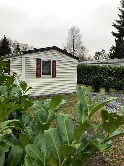 Leuk Tiny House op kleinschalig bosrijk park - 3