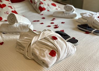 Luxe wellness B&B met verwarmd privé zwembad  - 11