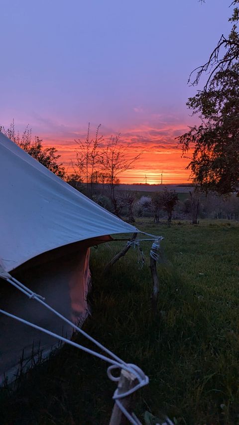 Glamping tent in the Belgian countryside - 2