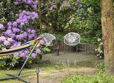 Mooi gelegen vakantiehuis midden op de Veluwe - 32